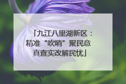 九江八里湖新区：精准“吹哨”聚民意 真查实改解民忧