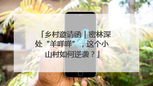 乡村邀请函｜密林深处“羊咩咩”，这个小山村如何逆袭？