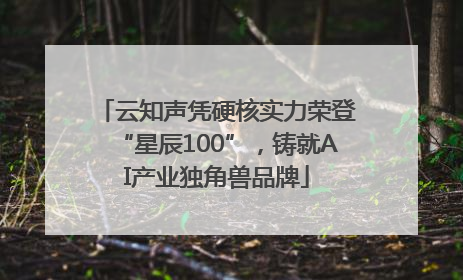 云知声凭硬核实力荣登“星辰100”，铸就AI产业独角兽品牌