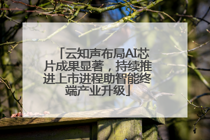云知声布局AI芯片成果显著，持续推进上市进程助智能终端产业升级