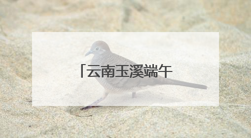 云南玉溪端午活动活吸引逾百万人参与