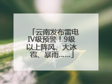 云南发布雷电Ⅳ级预警！9级以上阵风、大冰雹、暴雨……