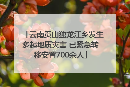 云南贡山独龙江乡发生多起地质灾害 已紧急转移安置700余人