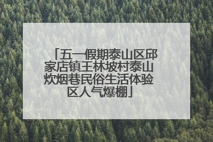五一假期泰山区邱家店镇王林坡村泰山炊烟巷民俗生活体验区人气爆棚