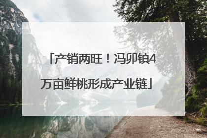 产销两旺！冯卯镇4万亩鲜桃形成产业链