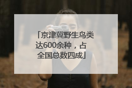 京津冀野生鸟类达600余种，占全国总数四成