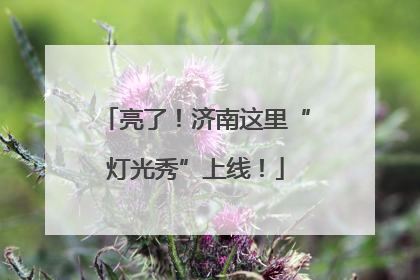 亮了！济南这里“灯光秀”上线！