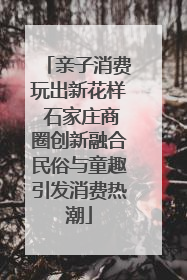 亲子消费玩出新花样 石家庄商圈创新融合民俗与童趣引发消费热潮