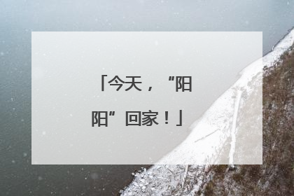 今天，“阳阳”回家！