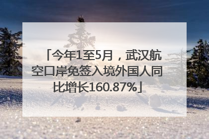 今年1至5月，武汉航空口岸免签入境外国人同比增长160.87%