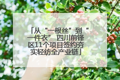 从“一根丝”到“一件衣” 四川前锋区11个项目签约夯实轻纺全产业链