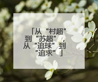 从“村超”到“苏超”，从“追球”到“追求”