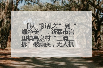 从“脏乱差”到“绿净美”：新泰市宫里镇高泉村“三清三拆”破顽疾，无人机“天眼”护新颜