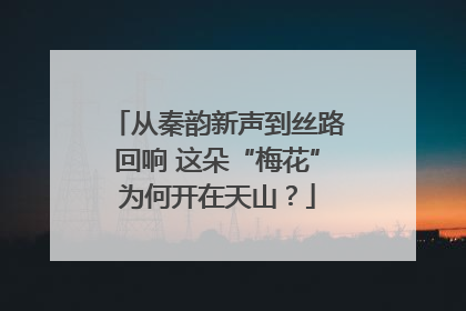 从秦韵新声到丝路回响 这朵“梅花”为何开在天山？