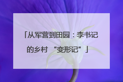 从军营到田园：李书记的乡村 “变形记”