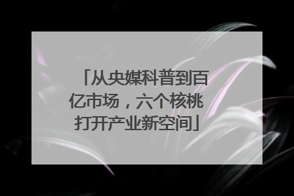 从央媒科普到百亿市场，六个核桃打开产业新空间