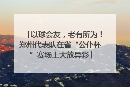以球会友，老有所为！郑州代表队在省“公仆杯”赛场上大放异彩