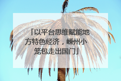 以平台思维赋能地方特色经济，嵊州小笼包走出国门
