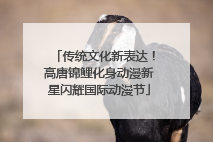 传统文化新表达！高唐锦鲤化身动漫新星闪耀国际动漫节