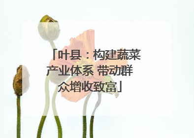 叶县：构建蔬菜产业体系 带动群众增收致富