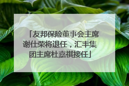 友邦保险董事会主席谢仕荣将退任，汇丰集团主席杜嘉祺接任