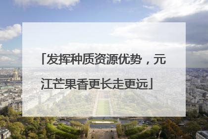 发挥种质资源优势，元江芒果香更长走更远