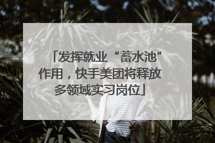 发挥就业“蓄水池”作用，快手美团将释放多领域实习岗位