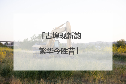 古埠现新韵 繁华今胜昔