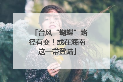 台风“蝴蝶”路径有变！或在海南这一带登陆