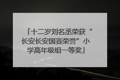 十二岁刘名丞荣获“长安长安国赛荣誉”小学高年级组一等奖