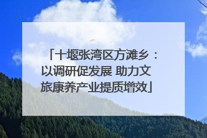 十堰张湾区方滩乡：以调研促发展 助力文旅康养产业提质增效