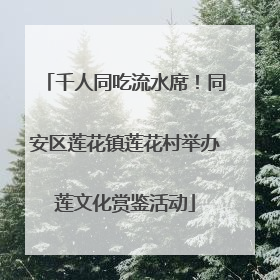 千人同吃流水席！同安区莲花镇莲花村举办莲文化赏鉴活动