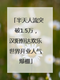 半天人流突破1.5万，汉阳恒达欢乐世界开业人气爆棚