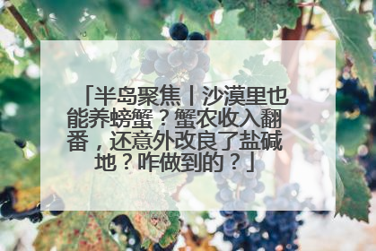 半岛聚焦丨沙漠里也能养螃蟹？蟹农收入翻番，还意外改良了盐碱地？咋做到的？