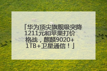 华为顶尖旗舰级突降1211元和苹果打价格战，麒麟9020+1TB+卫星通信！