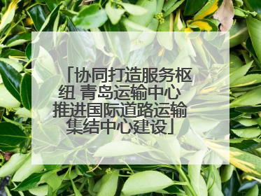 协同打造服务枢纽 青岛运输中心推进国际道路运输集结中心建设