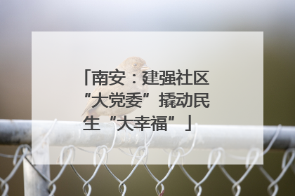 南安：建强社区“大党委”撬动民生“大幸福”