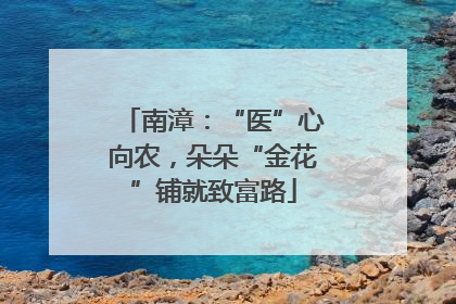 南漳：“医”心向农，朵朵“金花”铺就致富路