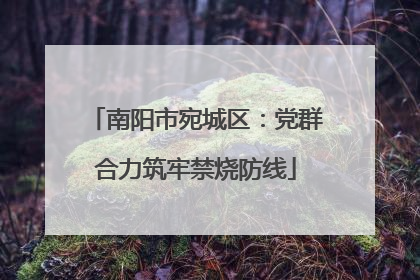 南阳市宛城区：党群合力筑牢禁烧防线