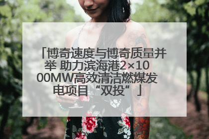 博奇速度与博奇质量并举 助力滨海港2×1000MW高效清洁燃煤发电项目“双投”