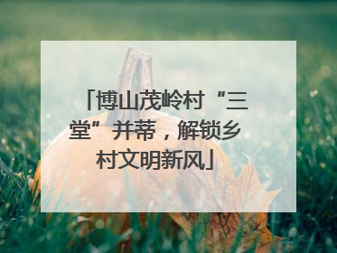 博山茂岭村“三堂”并蒂，解锁乡村文明新风