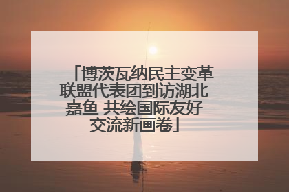 博茨瓦纳民主变革联盟代表团到访湖北嘉鱼 共绘国际友好交流新画卷