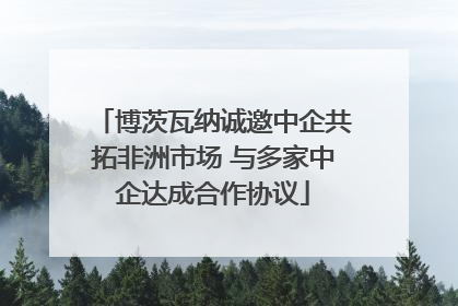 博茨瓦纳诚邀中企共拓非洲市场 与多家中企达成合作协议