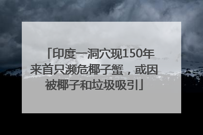 印度一洞穴现150年来首只濒危椰子蟹，或因被椰子和垃圾吸引