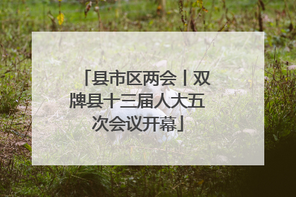 县市区两会丨双牌县十三届人大五次会议开幕