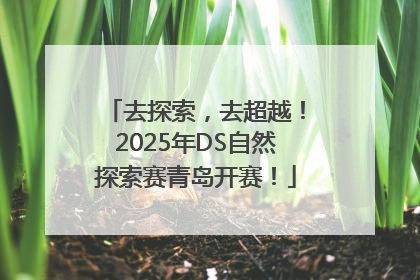 去探索，去超越！2025年DS自然探索赛青岛开赛！
