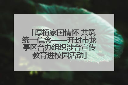 厚植家国情怀 共筑统一信念——开封市龙亭区台办组织涉台宣传教育进校园活动