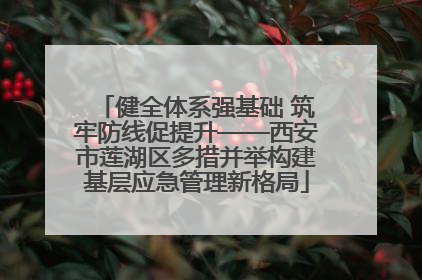 健全体系强基础 筑牢防线促提升——西安市莲湖区多措并举构建基层应急管理新格局
