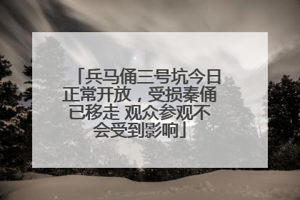 兵马俑三号坑今日正常开放，受损秦俑已移走 观众参观不会受到影响