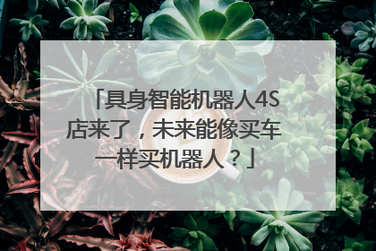 具身智能机器人4S店来了，未来能像买车一样买机器人？